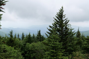 From a trip to the Smoky Mountains and various parks around Tennessee, North Carolina, and South Carolina