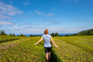 Fototapeta premium Young woman walking through the corridors of a tea plantation with both hands touching the green leaves of the tea. Gorreana Tea Plantation on the island of Sao Miguel in the Azores.