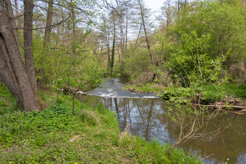 Spring Landscape of Iskar river near Pancharevo lake, Bulgaria