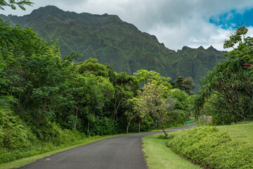 Fototapeta na wymiar Ho'omaluhia Botanical Garden, Oahu Hawaii. Koʻolau Range 