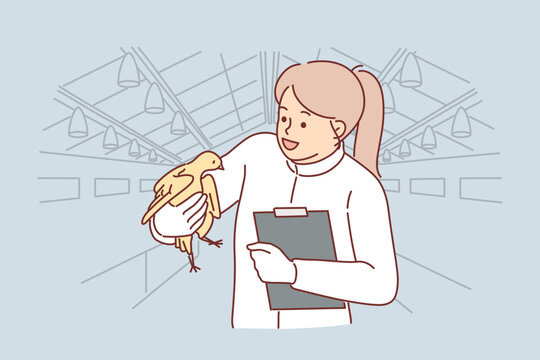 Woman veterinarian with chicken in hands works at poultry farm checking chickens for infections 