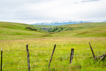 Greens of Zumwalt Prairie in front of Idaho Seven Devil Mountains in Eastern oregon