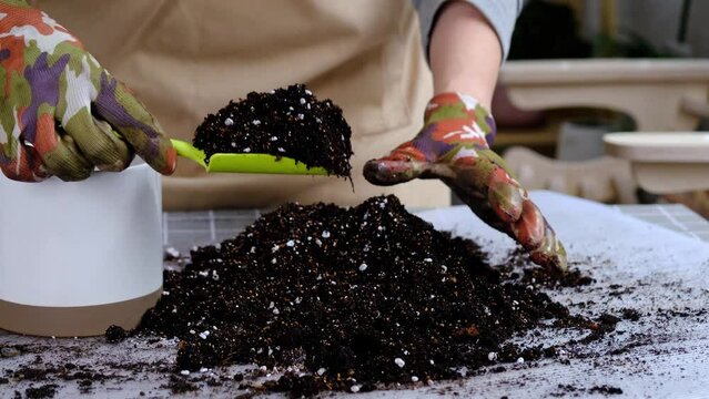 Hands in gloves mix ingredients for the soil of home potted plants, peat, earth, sand, perlite, vermiculite, coconut. A mixture for planting plants in a pot. Layout