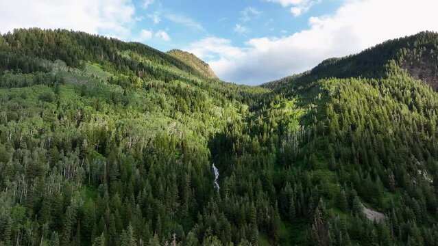 Aerial mountain forest trees waterfall Utah slide. Wasatch Mountain range, Little Cottonwood Canyon, Scenic Byway. View from above. Road and trails for driving, walking and hiking in beautiful nature.