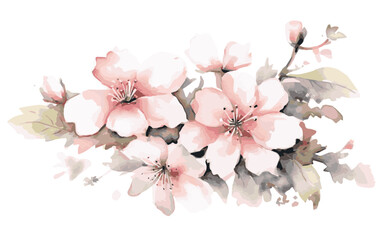 Pink flowers blossom in a watercolor style on a white background in vector graphics