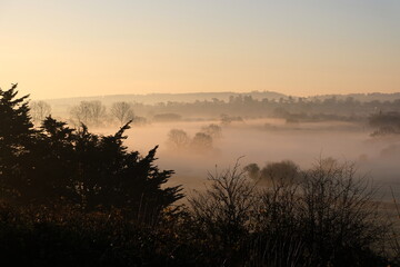 Fototapeta premium Dramatic eerie rural countryside view with fog and mist over Somerset Levels in Glastonbury, England, UK