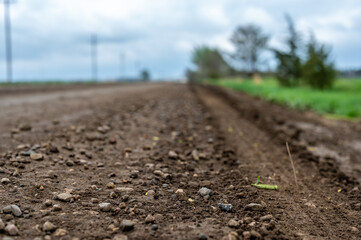 low angle view of a tire track left in a gravel road in a rural setting with spring green grass and trees on either side. 