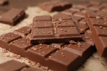 Pieces and crumbs of tasty chocolate bars on parchment paper, closeup