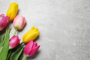 Beautiful colorful tulip flowers on grey table. Space for text