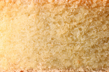 Texture of delicious sponge cake as background, closeup