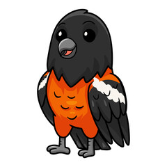 Cute venezuelan troupial bird cartoon