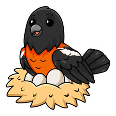 Cute venezuelan troupial bird cartoon with eggs in the nest