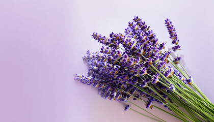 Bouquet of violet lavender flowers on pastel background
