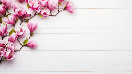 Naklejka na ściany i meble twig blooming magnolia on a white wooden background. Generative Ai. 
