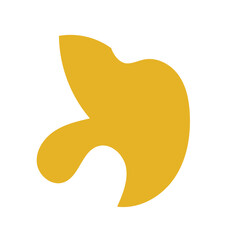 Boho Abstract Shapes 