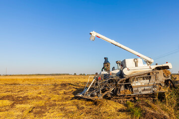 Fototapeta premium Harvester machine is harvesting rice