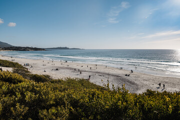 Carmel by the sea California beach with people