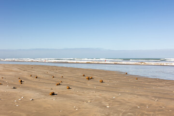 Balls washed onto beach