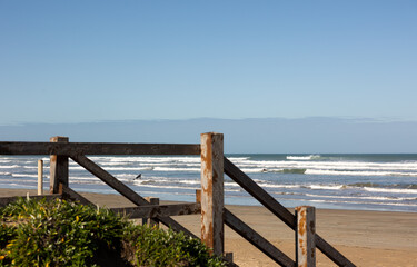 Balls washed onto the sand
