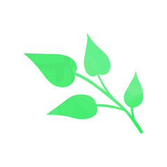 Leaf Illustration