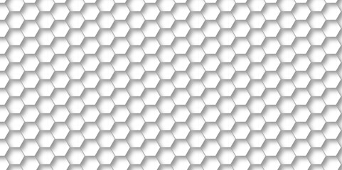Abstract background with hexagon Background with white and black lines 3d Hexagonal structure futuristic white background and Embossed Hexagon , honeycomb white Background ,light and shadow ,Vector.
