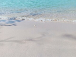 Vacation on the beach 