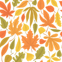 Fototapeta na wymiar Seamless vector pattern with colorful autumn leaves isolated on white background. Autumn foliage illustration for invitation, greeting card, brochure, cover, wallpaper, flyer
