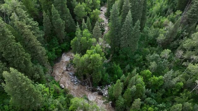 Aerial flood river mountain forest canyon Utah. Wasatch Mountain range, Little Cottonwood Canyon, Scenic Byway. View from above. Road and trails for driving, walking and hiking in beautiful nature.
