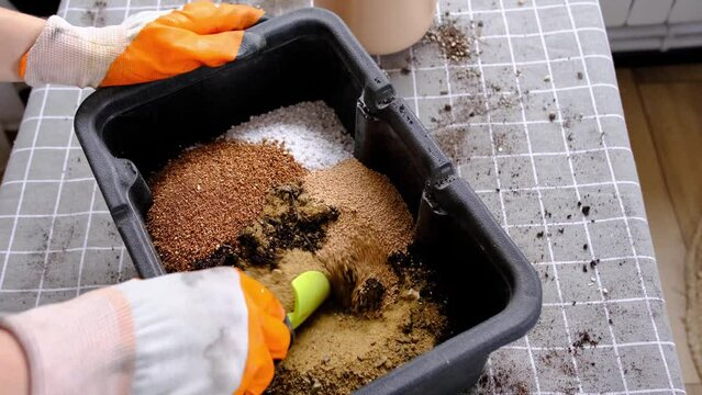 Hands in gloves mix ingredients for the soil of home potted plants, peat, earth, sand, perlite, vermiculite, coconut. A mixture for planting plants in a pot. Layout