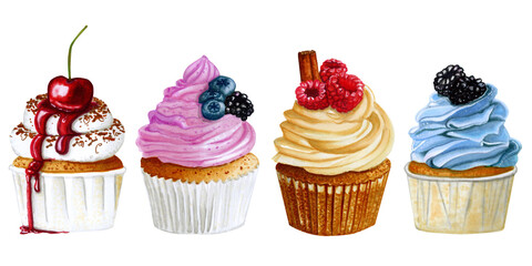 Set of watercolor cupcakes with berries isolated on white background. Hand drawn marker illustration.