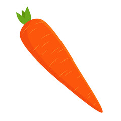 Whole carrot vector illustration. Cartoon drawing of whole carrot isolated on white background. Food, nutrition, diet concept