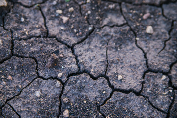 Dry, cracked earth. Drought. Lack of water for irrigation. Agricultural industry.