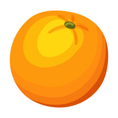 Orange vector illustration. Cartoon drawing of ripe orange. Healthy or organic food, gardening, farming, agriculture, grocery shopping concept