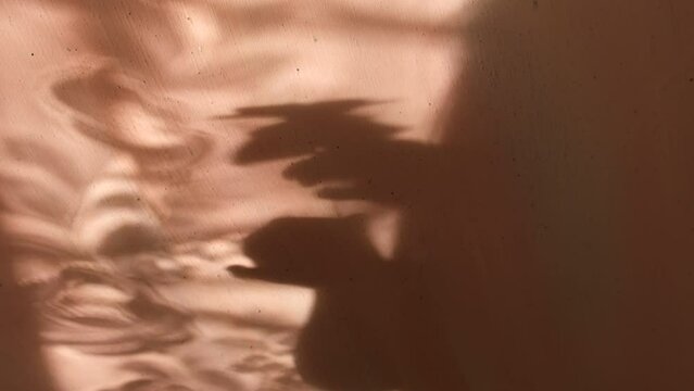 Child playing with butterfly toy and observe shadow on wall, enjoying, having fun
