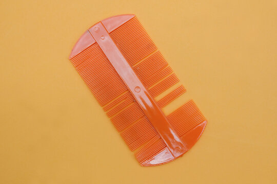 plastic comb to clean head lice