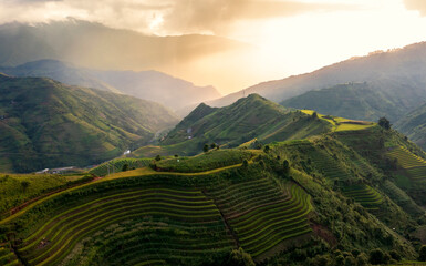 Terrace rice field in Vietnam