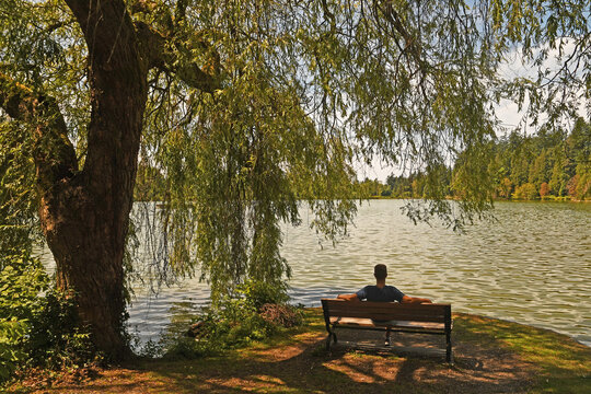 Man sitting on park bench with trees surrounding and a lagoon