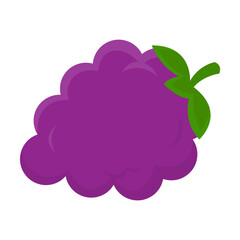 Whole ripe or juicy blackberry vector illustration. Cartoon drawing of healthy food or purple berry with leaf isolated on white background. Organic food, healthy eating concept