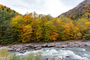 the beginning of autumn, nature walks, a mountain river and a panoramic view of the mountains, hiking trails and recreation in the mountains.