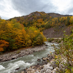 the beginning of autumn, nature walks, a mountain river and a panoramic view of the mountains, hiking trails and recreation in the mountains.
