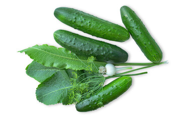 Fresh cucumbers, horseradish leaves, garlic, dill isolated on transparent background. Marinating ingredients.