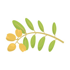 Sprig of exotic berries with leaves vector illustration. Cartoon drawing of fresh ingredient for cooking oil isolated on white background. Organic food, nutrition, diet, culinary concept