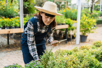 Flower care harvesting. Happy gardener woman in gloves plants flowers in greenhouse using tablet check growth quality of Plant. Florists woman working gardening in the backyard.