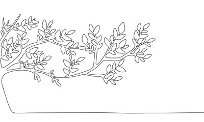 One line continuous spring branch. Line art of branch with leaves concept banner. Outline vector illustration.