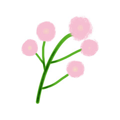 cute flpwers in the garden 