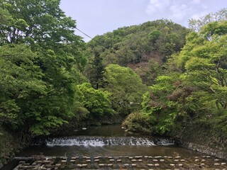 京都の夏、美しい高野川