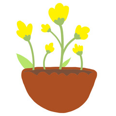 The flowers are in cute pots.