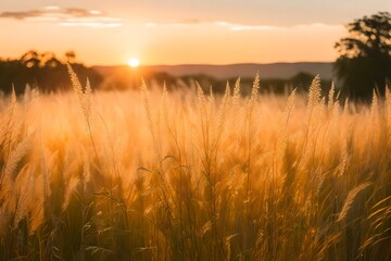 field of wheat and sunrise. AI-Generated