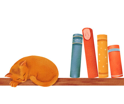 cozy composition. little red kitten is sleeping on a bookshelf. Funny animal for kid. Design for baby shirt design, nursery decor, card making, party invitations, logos, greeting cards, posters