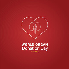 World Organ Donation Day 13th August . Organ donation concept kidney with Vector template Design for banner, card, poster, background.